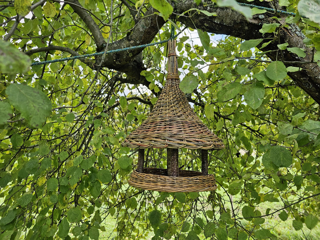 Handwoven willow bird feeder with spire top hung from a branch, framed by green leaves in the garden