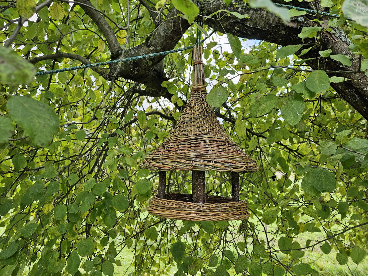 Handwoven willow bird feeder with spire top hung from a branch, framed by green leaves in the garden