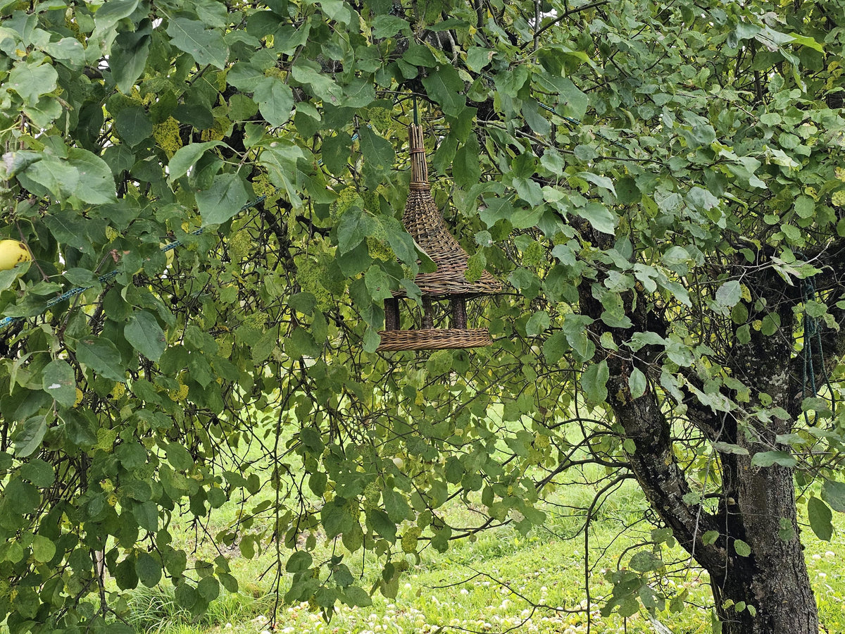 Willow bird feeder hanging deep inside a leafy tree, showing how it blends into the garden as tree decor
