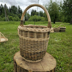 Hoher Weidenkorb mit Bügelhenkel auf einem Baumstumpf im grünen Obstgarten, dahinter weitere Körbe im Gras