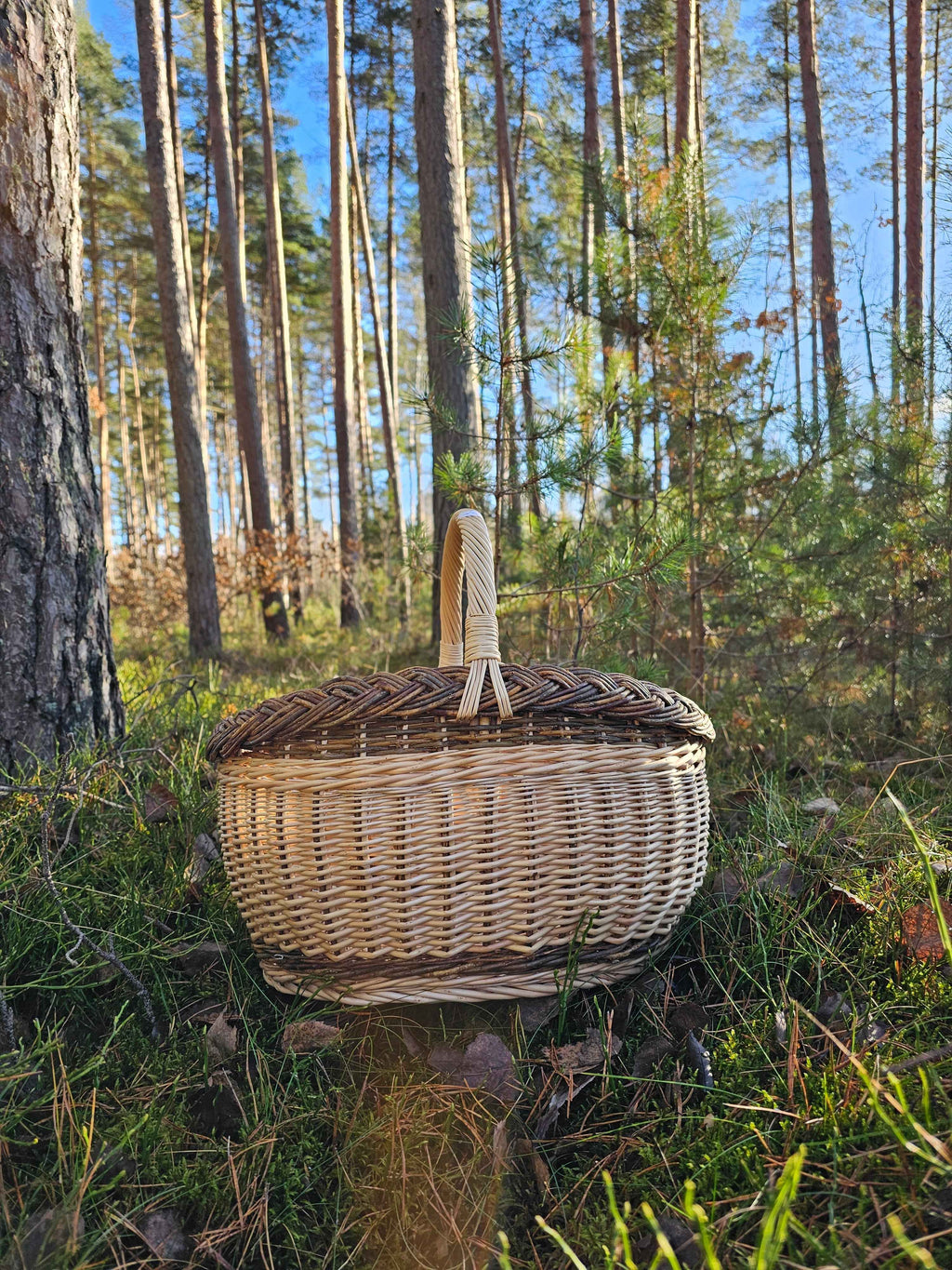 Wicker basket 026r - NaturelyWoven wicker - handmade