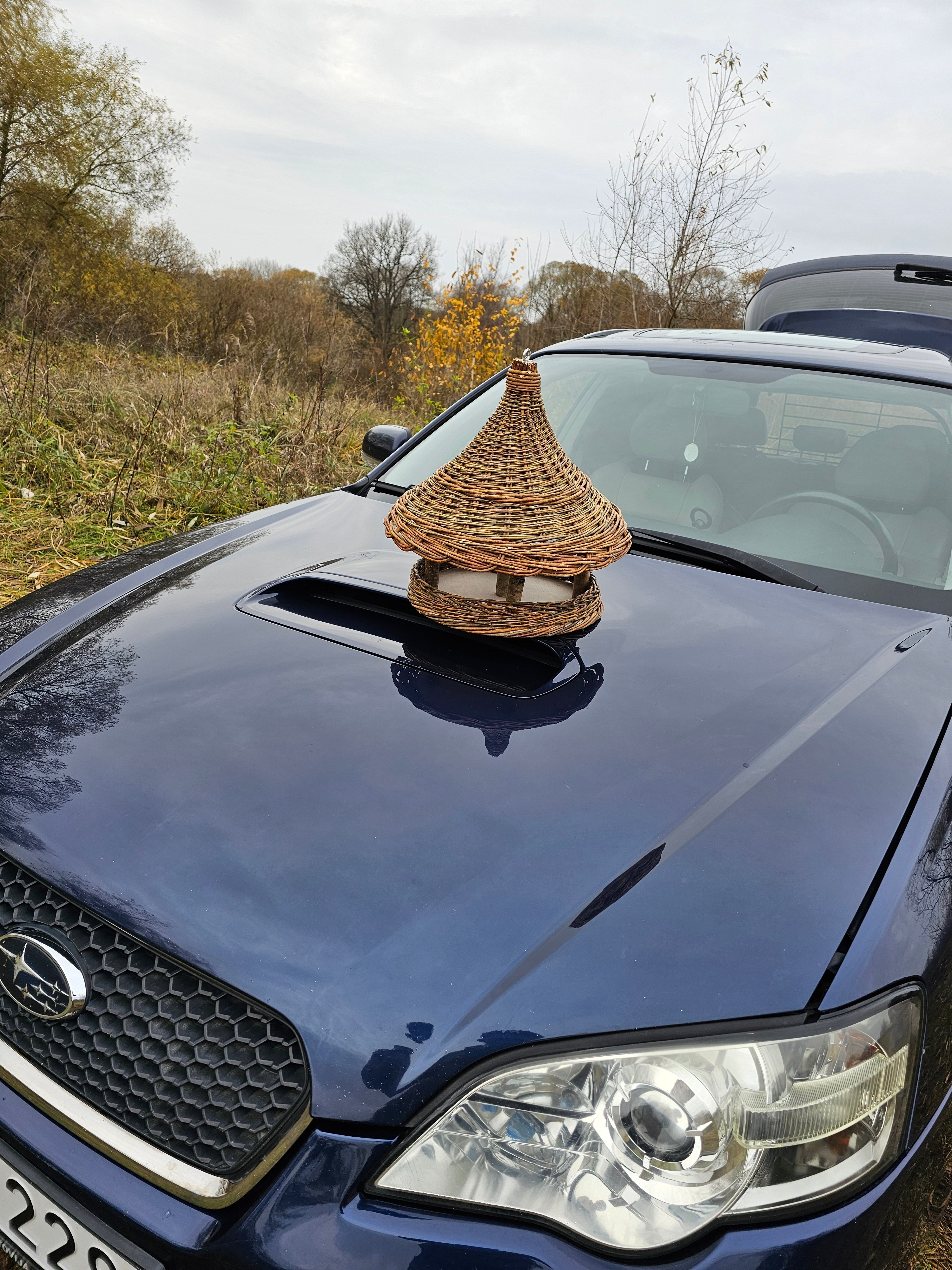 Wicker Bird Feeder - Hanging Willow Roof Garden Feeder - NaturelyWoven