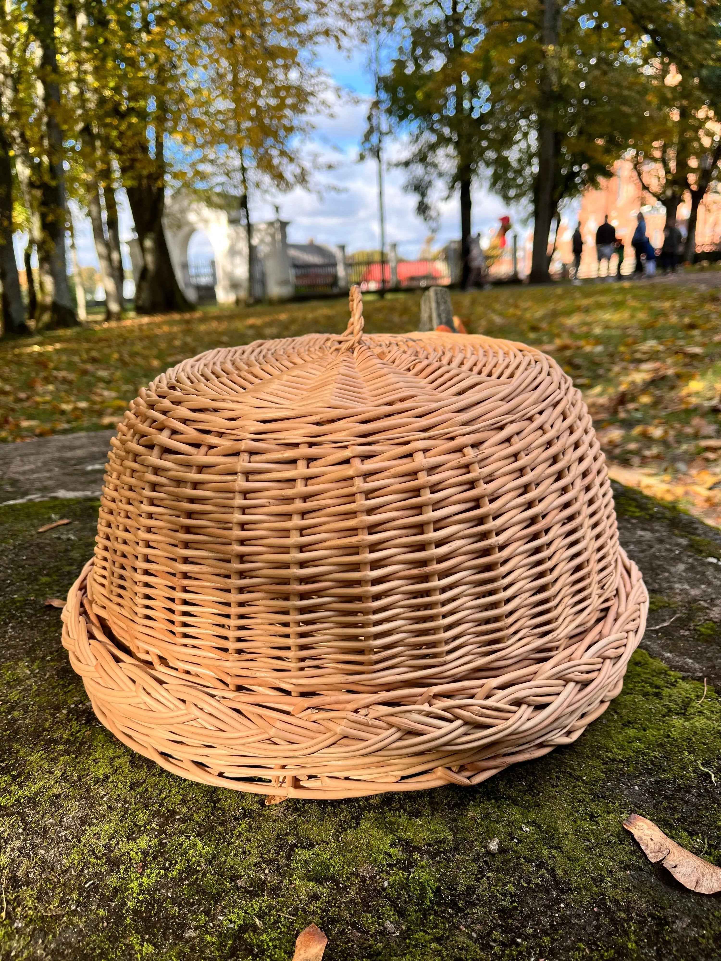 Wicker Food Cloche — food cover, view 3