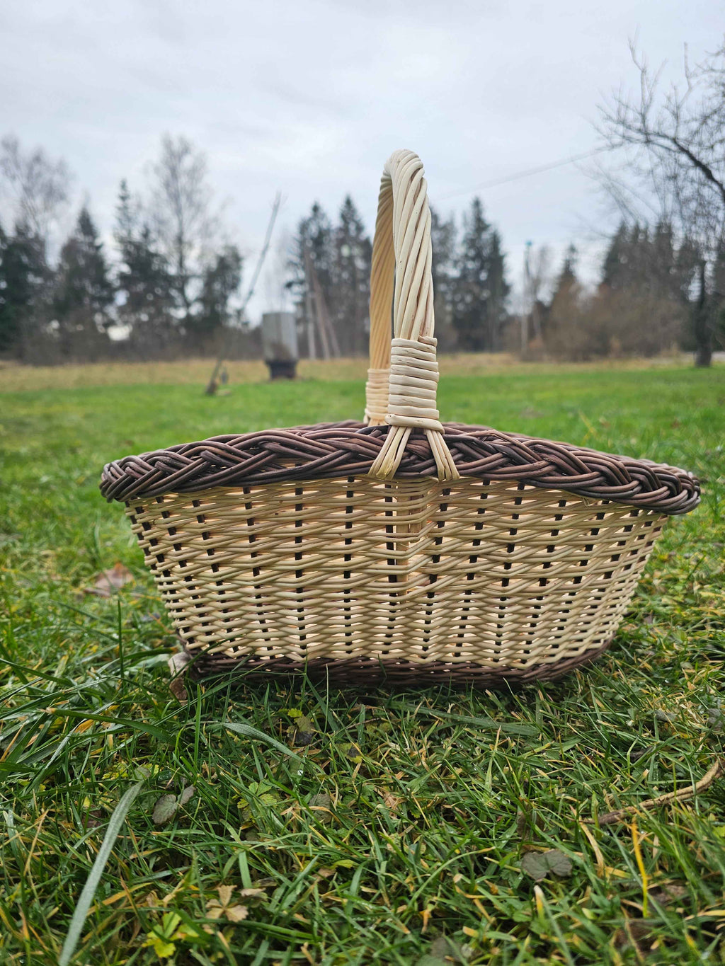 Wicker Kitchen Basket in Gold/Brown — handmade wicker basket