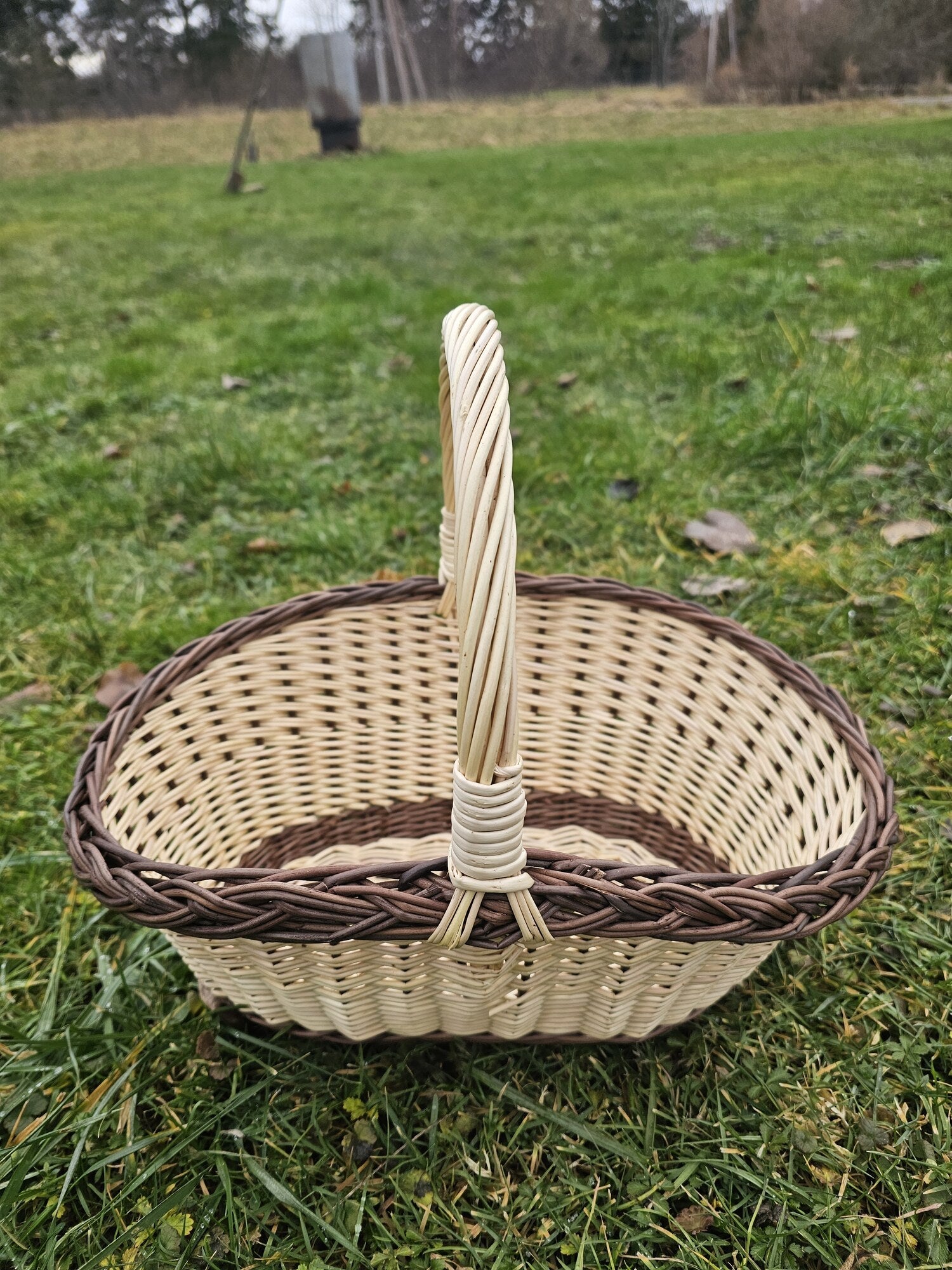 Wicker Kitchen Basket — wicker basket, view 15